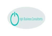 Origin Business Consultants, Inc. image 1